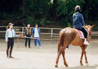 ギャラリー 日の出乗馬倶楽部