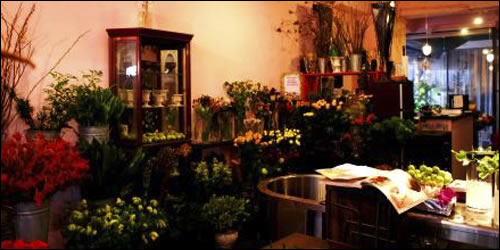 土いじりの花屋 マングローブ お店やサービスを見つけるサイト Bizloop ビズループ サーチ
