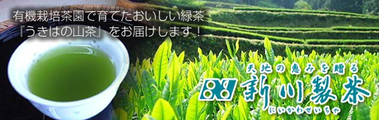 有機栽培緑茶の通販『うきはの山茶』-新川製茶（にいかわせいちゃ